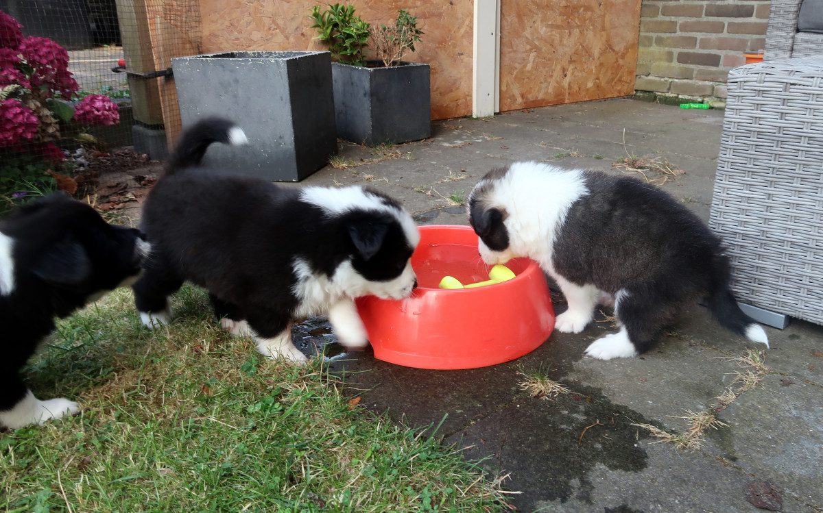 Weekupdate – Veel foto’s!