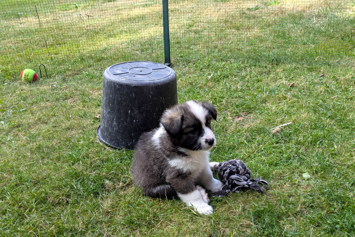 Weekupdate – 6 weken